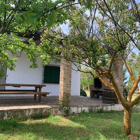 Gran Casa, Lagunas De Ruidera, Bbq, Porche, Chimenea 외부 사진