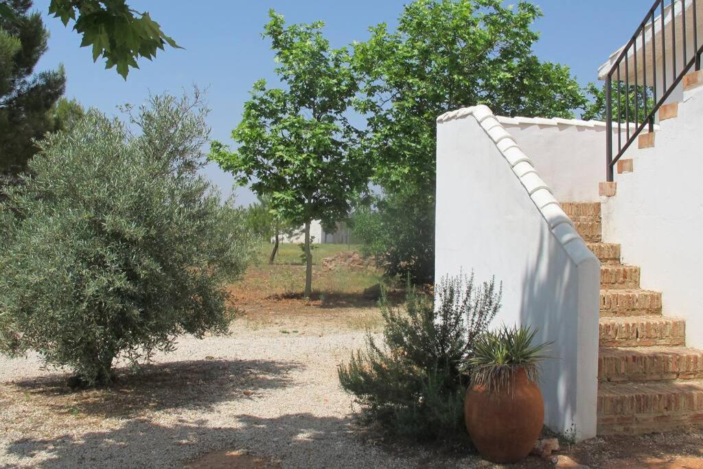 Gran Casa, Lagunas De Ruidera, Bbq, Porche, Chimenea 외부 사진