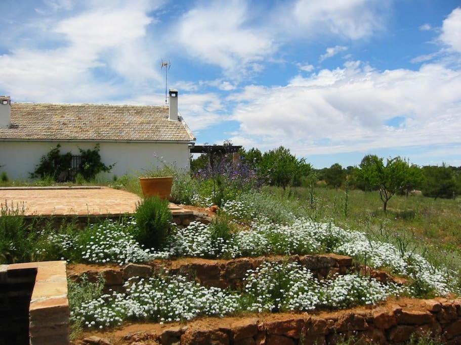 Gran Casa, Lagunas De Ruidera, Bbq, Porche, Chimenea 외부 사진