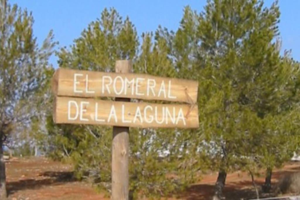 Gran Casa, Lagunas De Ruidera, Bbq, Porche, Chimenea 외부 사진