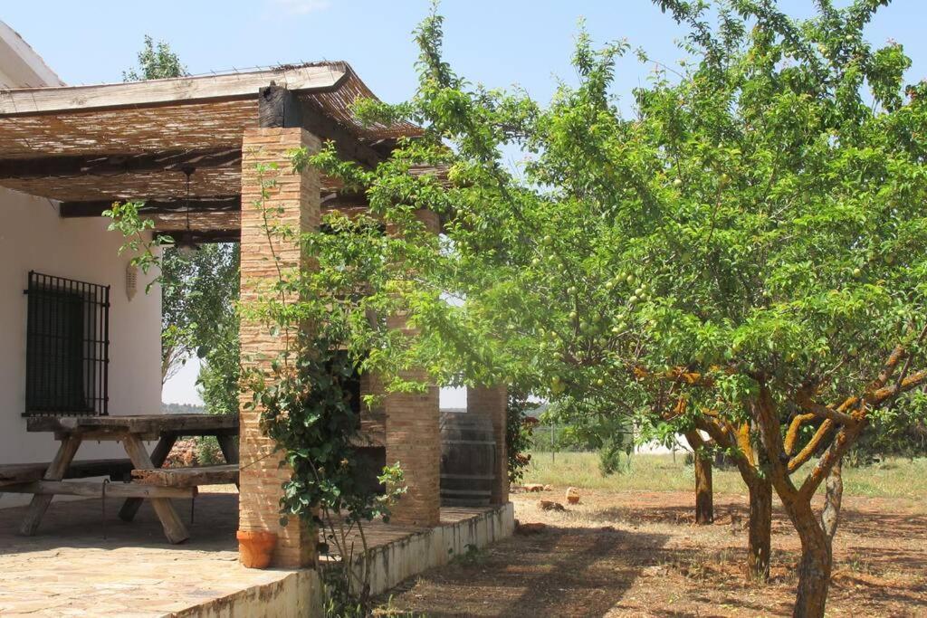 Gran Casa, Lagunas De Ruidera, Bbq, Porche, Chimenea 외부 사진